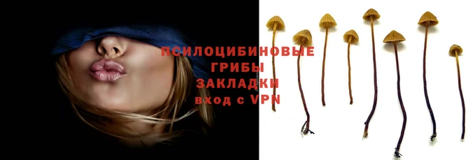 таблы Волоколамск