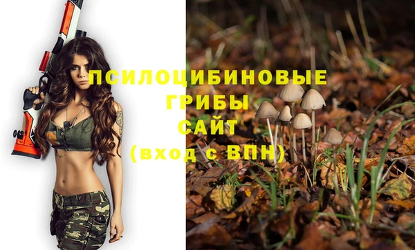 прущие крисы Волосово