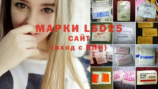ГАЛЛЮЦИНОГЕННЫЕ ГРИБЫ Горняк