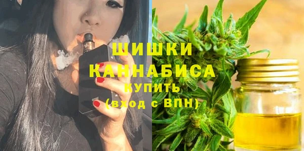 ГАЛЛЮЦИНОГЕННЫЕ ГРИБЫ Горняк
