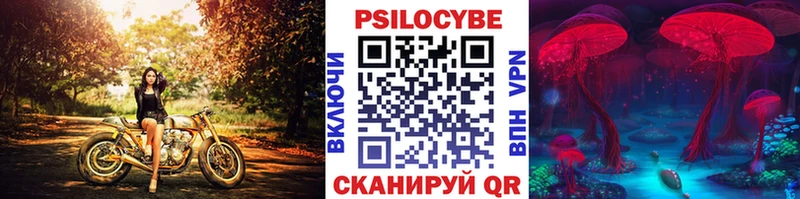 Галлюциногенные грибы Psilocybine cubensis  Ермолино 