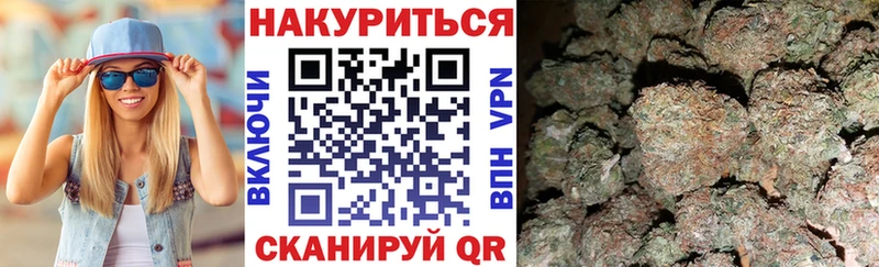 Каннабис планчик Ермолино